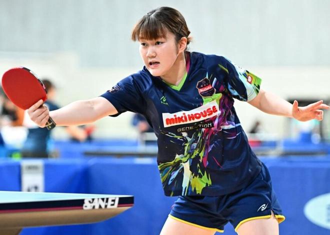 机动灵活的 机动灵活的